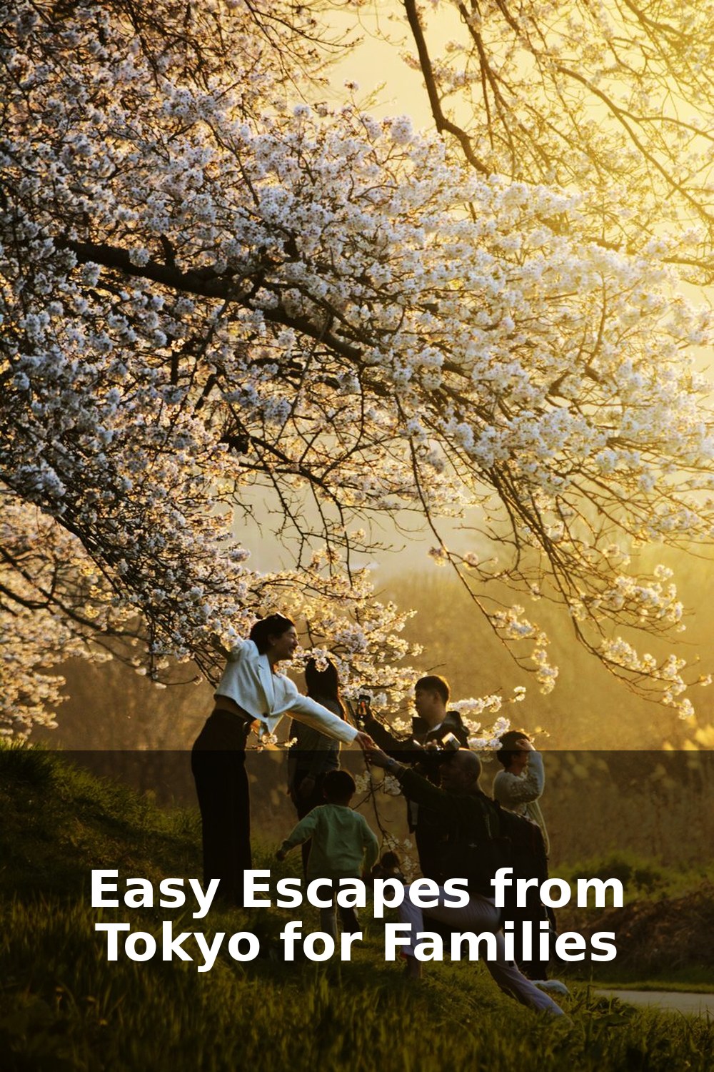 Day Trips from Tokyo with Kids in 2026